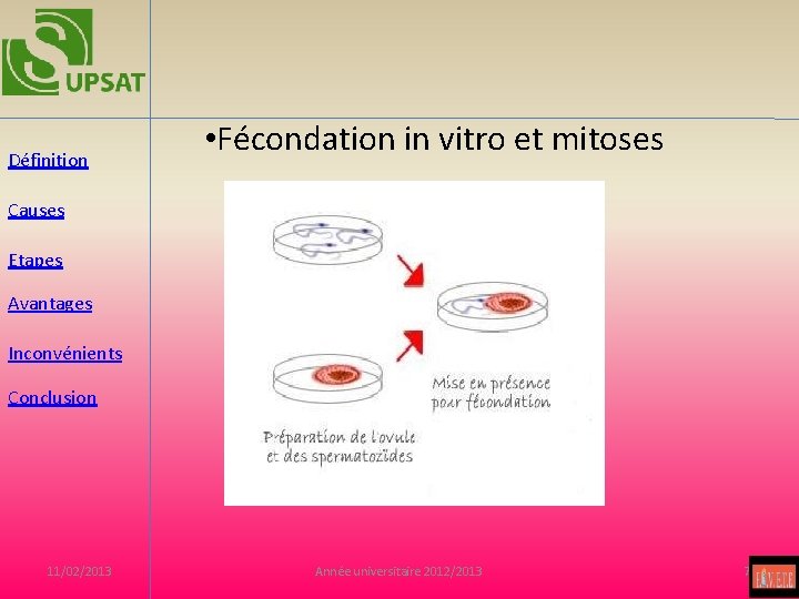 Définition • Fécondation in vitro et mitoses Causes Etapes Avantages Inconvénients Conclusion 11/02/2013 Année