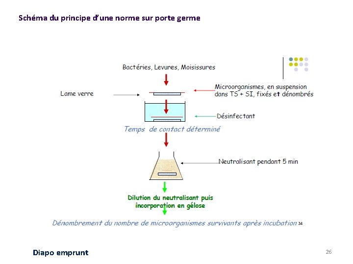 Schéma du principe d’une norme sur porte germe Diapo emprunt 26 