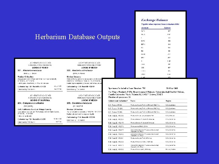 Herbarium Database Outputs 