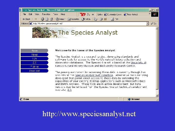 http: //www. speciesanalyst. net 