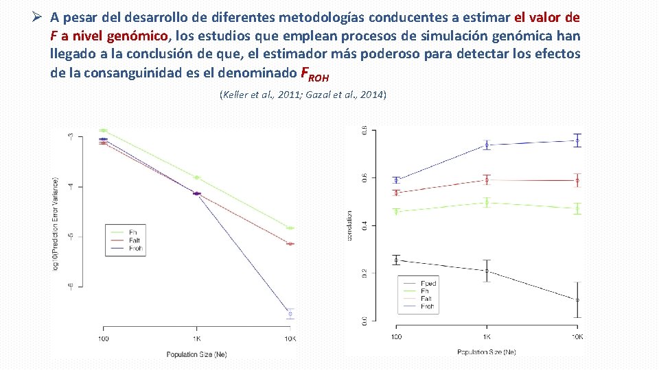 Ø A pesar del desarrollo de diferentes metodologías conducentes a estimar el valor de