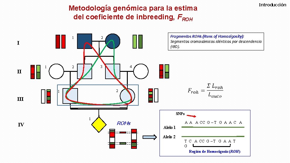 Metodología genómica para la estima del coeficiente de inbreeding, FROH 1 2 2 3