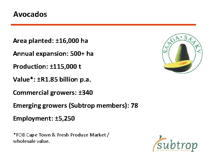 Avocados Area planted: ± 16, 000 ha Annual expansion: 500+ ha Production: ± 115,