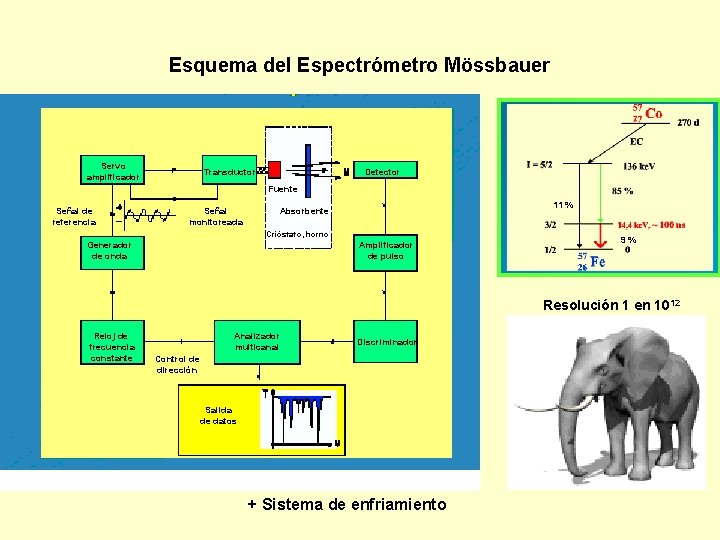 Esquema del Espectrómetro Mössbauer Servo amplificador Transductor Detector Fuente Señal de referencia Señal monitoreada