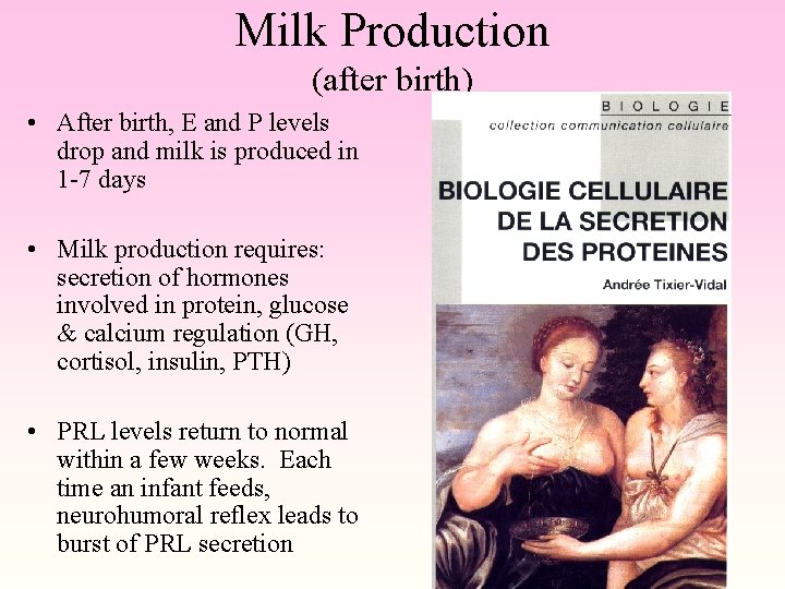 Milk Production (after birth) • After birth, E and P levels drop and milk