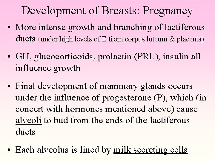 Development of Breasts: Pregnancy • More intense growth and branching of lactiferous ducts (under