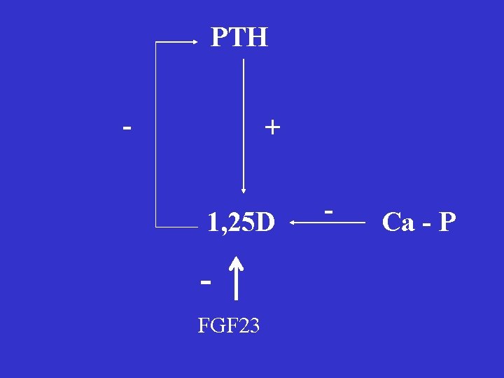 PTH - + 1, 25 D FGF 23 - Ca - P 