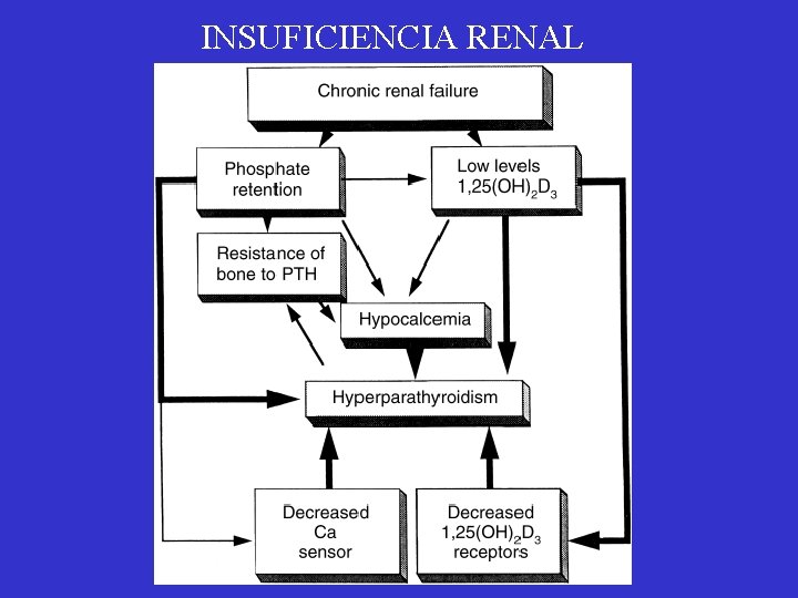 INSUFICIENCIA RENAL 