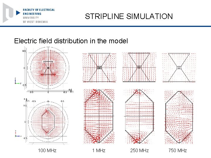 STRIPLINE SIMULATION Electric field distribution in the model 100 MHz 1 MHz 250 MHz