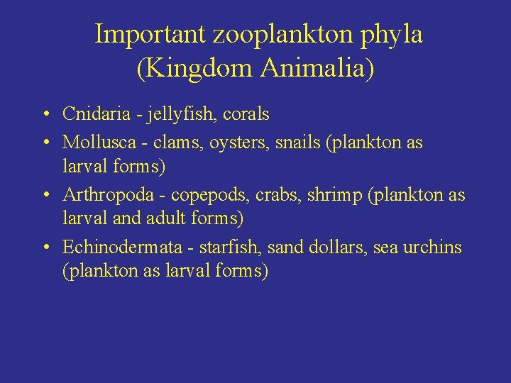 Important zooplankton phyla (Kingdom Animalia) • Cnidaria - jellyfish, corals • Mollusca - clams,