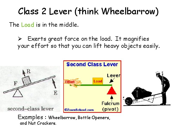 Class 2 Lever (think Wheelbarrow) The Load is in the middle. Ø Exerts great