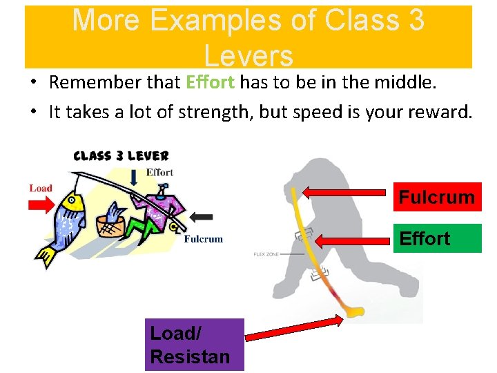 More Examples of Class 3 Levers • Remember that Effort has to be in
