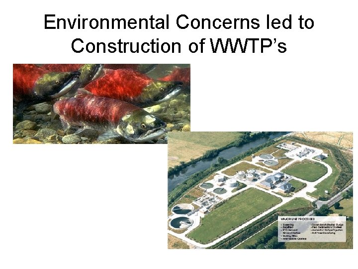 Environmental Concerns led to Construction of WWTP’s 