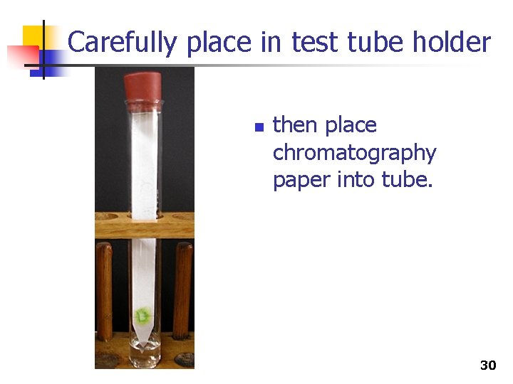Carefully place in test tube holder n then place chromatography paper into tube. 30