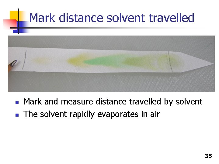 Mark distance solvent travelled n n Mark and measure distance travelled by solvent The