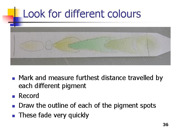 Look for different colours n n Mark and measure furthest distance travelled by each