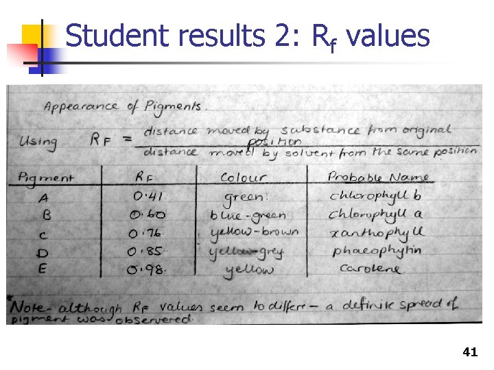 Student results 2: Rf values 41 