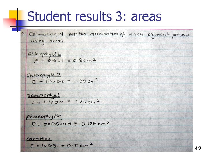 Student results 3: areas 42 