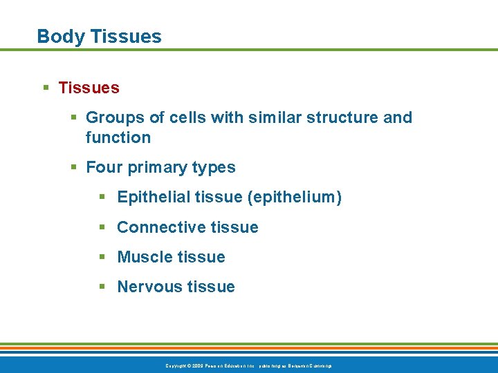 Body Tissues § Groups of cells with similar structure and function § Four primary