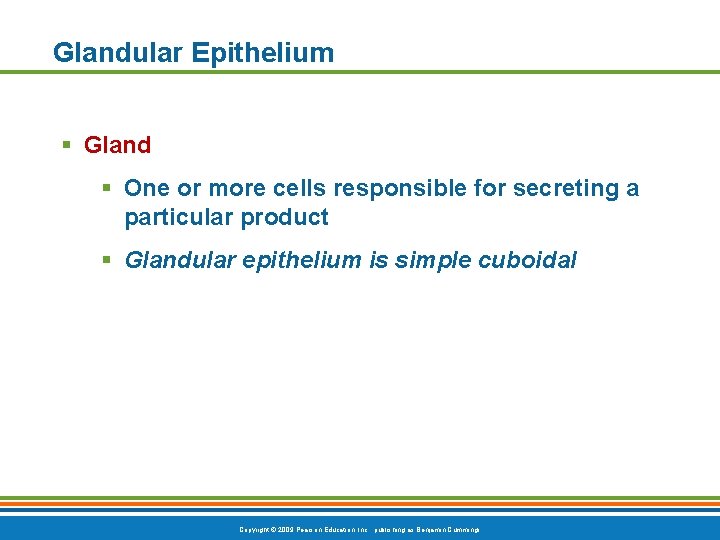 Glandular Epithelium § Gland § One or more cells responsible for secreting a particular