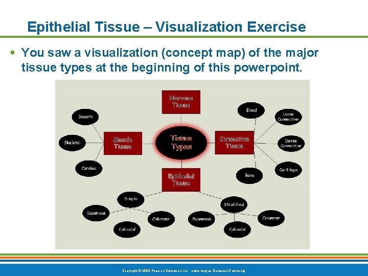 Epithelial Tissue – Visualization Exercise § You saw a visualization (concept map) of the