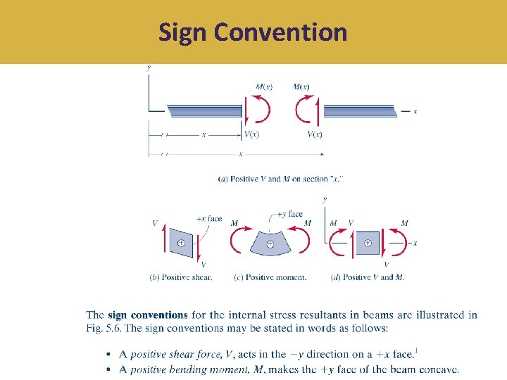 Sign Convention 