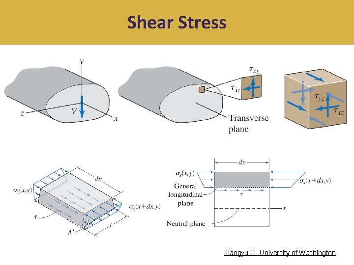 Shear Stress Jiangyu Li, University of Washington 