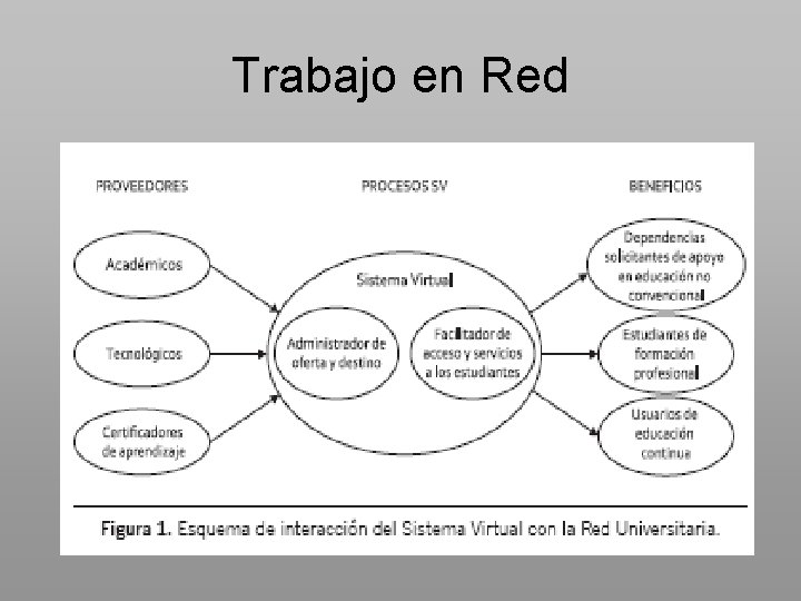 Trabajo en Red 