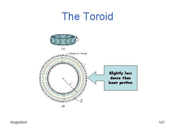 The Toroid Slightly less dense than inner portion Magnetism 147 