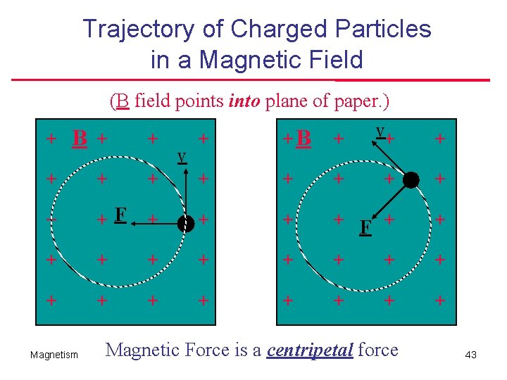 Trajectory of Charged Particles in a Magnetic Field (B field points into plane of