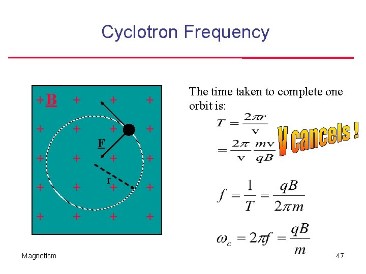 Cyclotron Frequency +B + v + + + r + + + Magnetism F