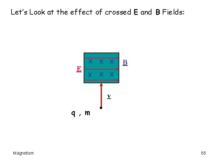 Let’s Look at the effect of crossed E and B Fields: x x x