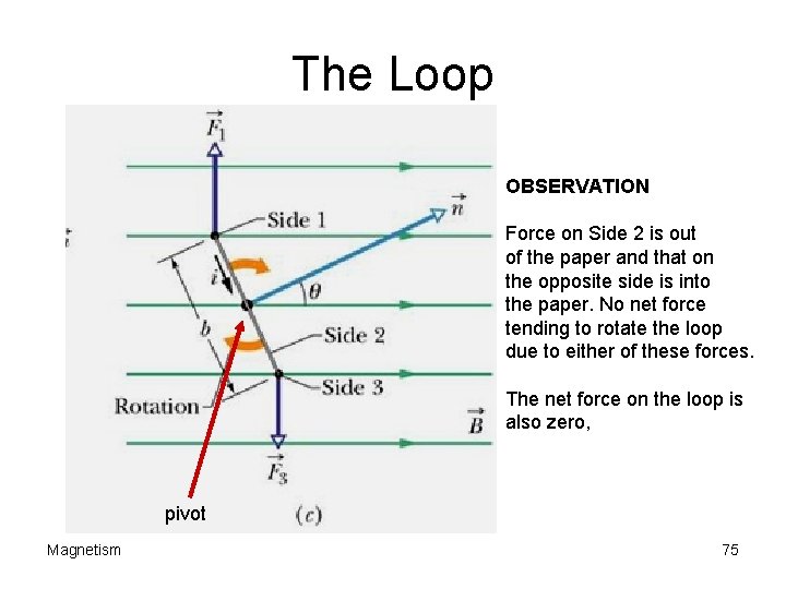 The Loop OBSERVATION Force on Side 2 is out of the paper and that