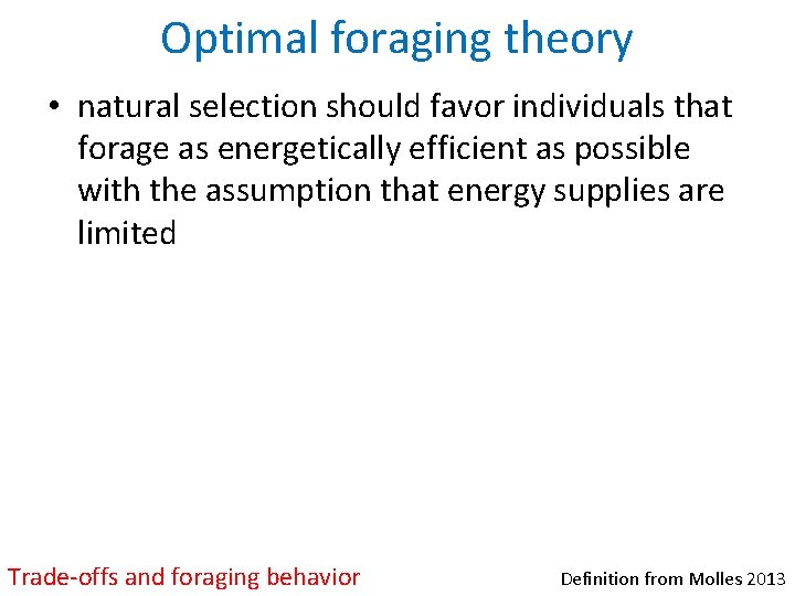 Optimal foraging theory • natural selection should favor individuals that forage as energetically efficient