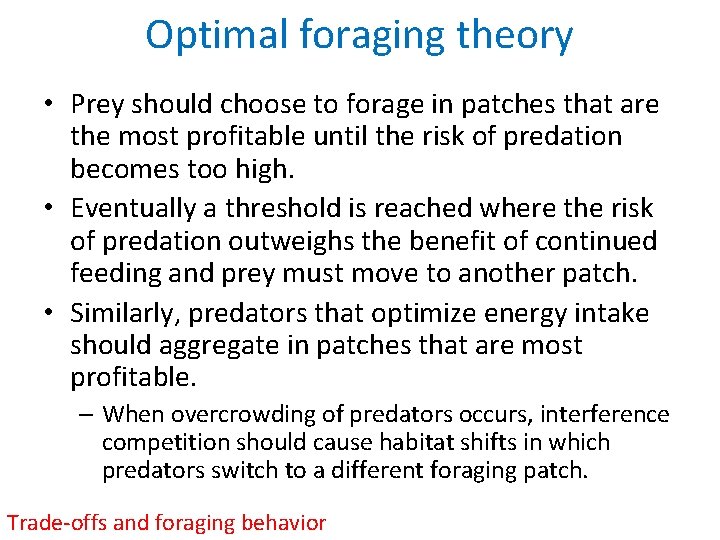 Optimal foraging theory • Prey should choose to forage in patches that are the