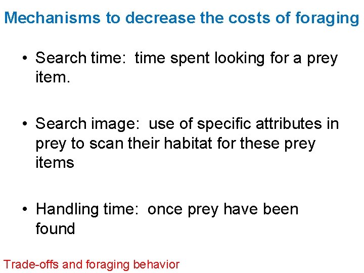 Mechanisms to decrease the costs of foraging • Search time: time spent looking for