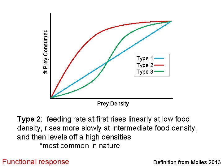 # Prey Consumed Type 1 Type 2 Type 3 Prey Density Type 2: feeding
