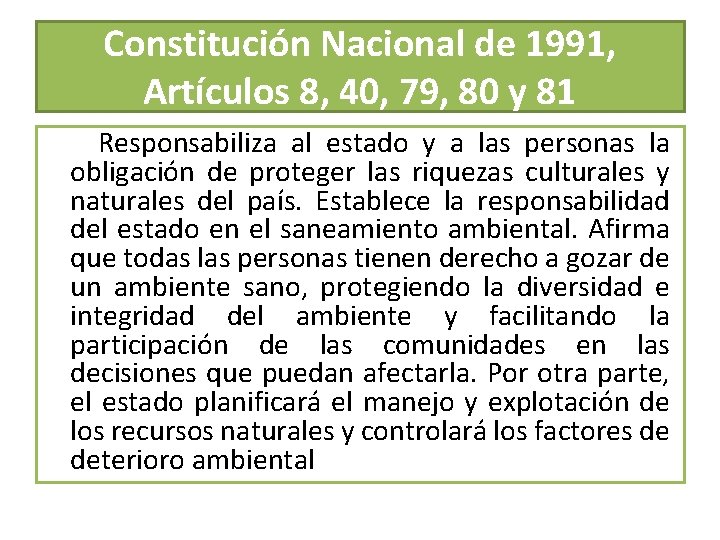 Constitución Nacional de 1991, Artículos 8, 40, 79, 80 y 81 Responsabiliza al estado