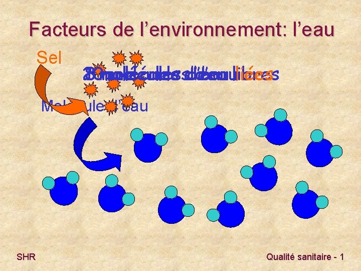 Facteurs de l’environnement: l’eau Sel 210 8 moléculesd’eaulibres liées Molécule d’eau SHR Qualité sanitaire