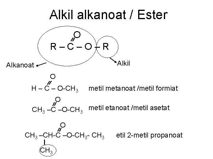 Alkil alkanoat / Ester O R–C–O–R Alkil Alkanoat O H – C – O-CH