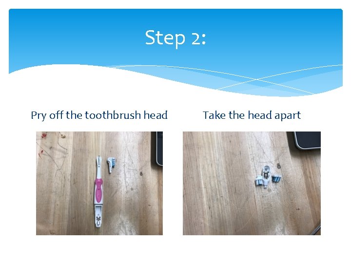 Step 2: Pry off the toothbrush head Take the head apart 