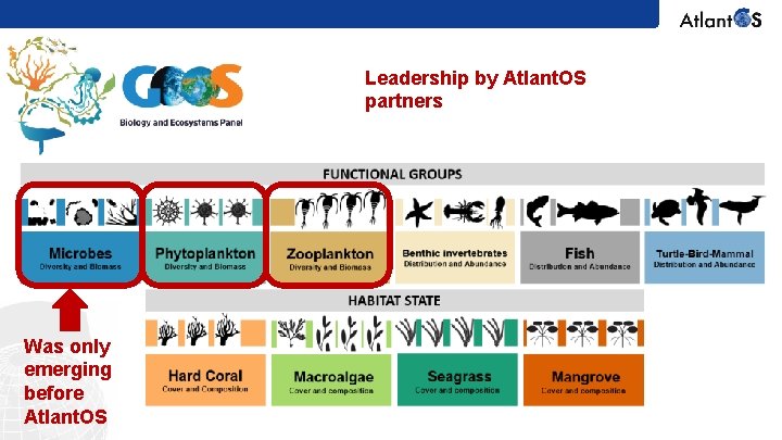 Leadership by Atlant. OS partners Was only emerging before Atlant. OS 