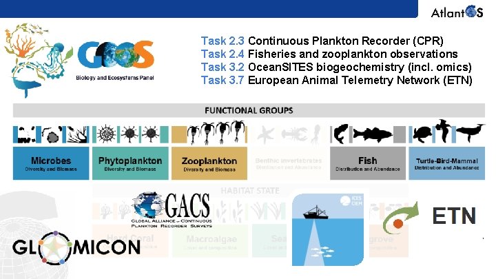 Task 2. 3 Continuous Plankton Recorder (CPR) Task 2. 4 Fisheries and zooplankton observations