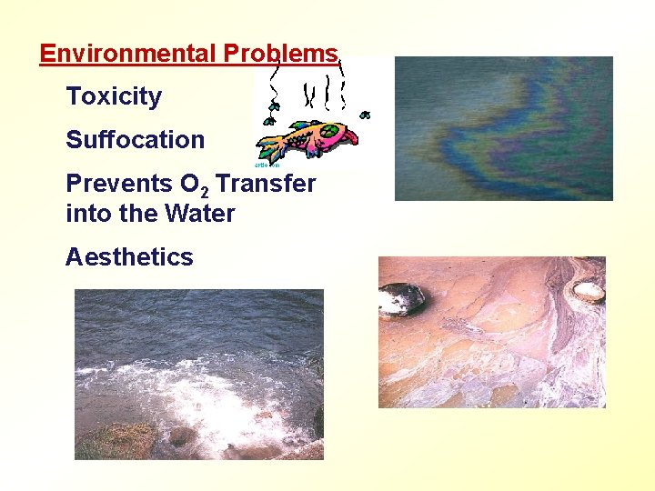 Environmental Problems Toxicity Suffocation Prevents O 2 Transfer into the Water Aesthetics 