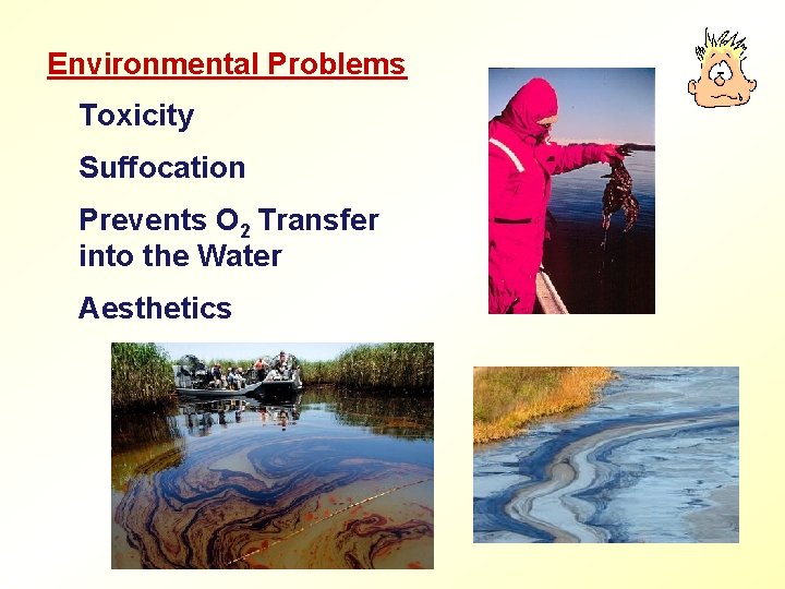 Environmental Problems Toxicity Suffocation Prevents O 2 Transfer into the Water Aesthetics 