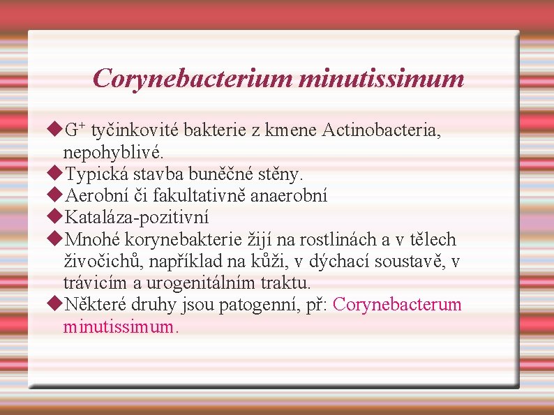 Corynebacterium minutissimum G+ tyčinkovité bakterie z kmene Actinobacteria, nepohyblivé. Typická stavba buněčné stěny. Aerobní