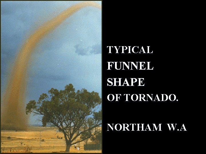 TYPICAL FUNNEL SHAPE OF TORNADO. NORTHAM W. A 