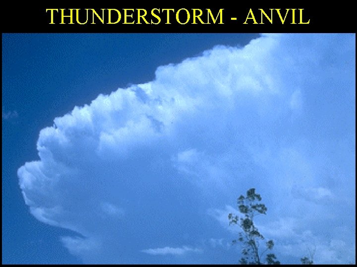 THUNDERSTORM - ANVIL 