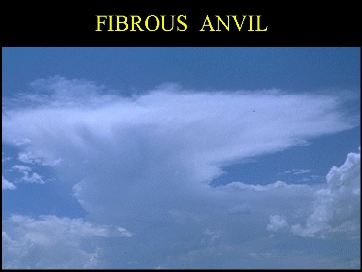 FIBROUS ANVIL 