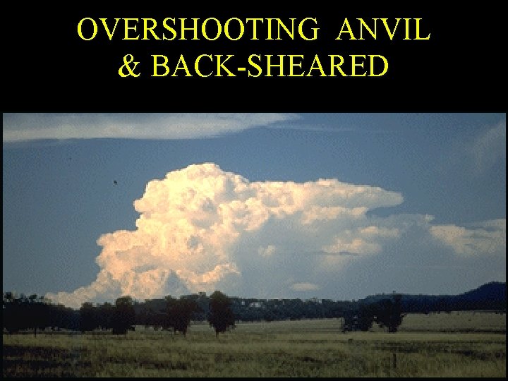 OVERSHOOTING ANVIL & BACK-SHEARED 